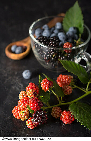Blackberries and blueberries from organic culture