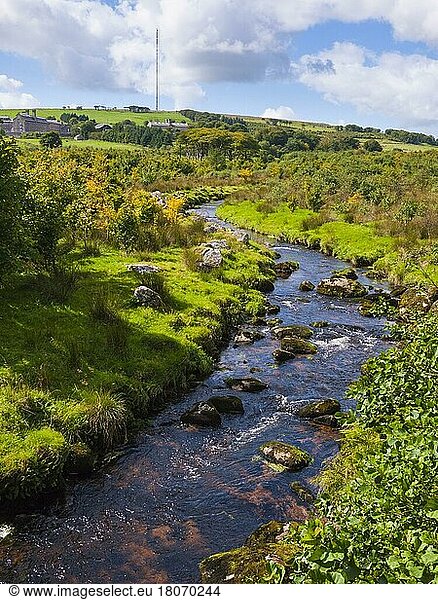 Blackbrook River near Princetown in Dartmoor National Park  Europe. In the distance is Dartmoor Prison and North Hessary Tor  Devon  England  United Kingdom  Europe