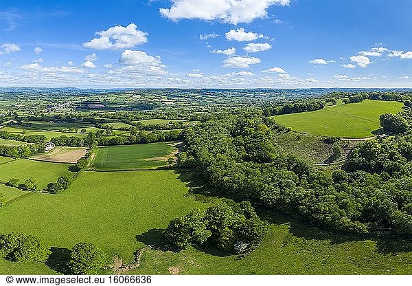 Blackdown Hills  Area of Outstanding Natural Beauty bei Craddock  Devon  England  Vereinigtes Königreich  Europa.