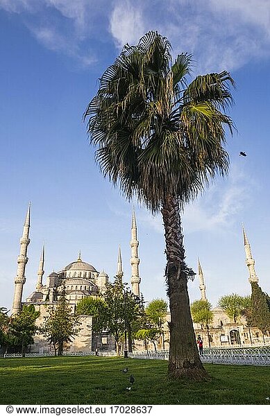 Blaue Moschee (Sultan-Ahmed-Moschee oder Sultan-Ahmet-Camii)  Istanbul  Türkei