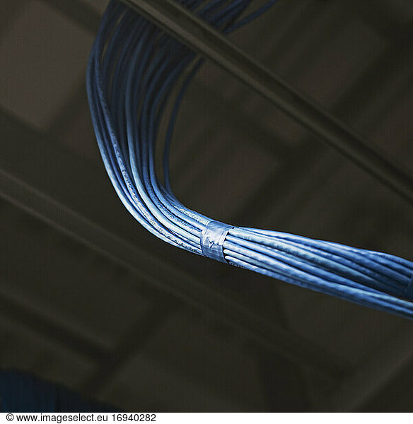 Blaue Stromkabel im Serverraum.