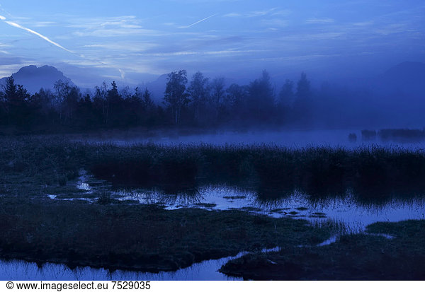 Blaue Stunde im Moor  Voralpenland  Grundbeckenmoor  Nicklheim  Bayern  Deutschland  Europa