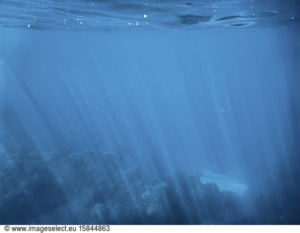 Blaue Unterwasserlandschaft mit Kopierraum