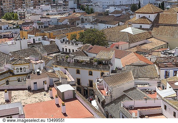 Blick auf Dächer Córdoba Andalusien Spanien Europa