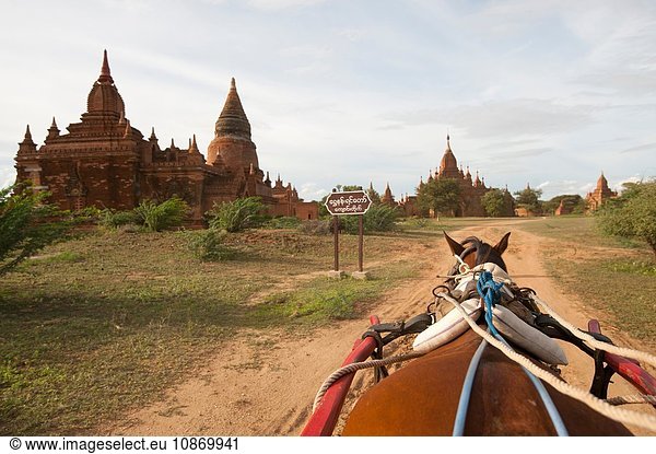 Blick auf dem Pferderücken  vorbei an der Pagode  Bagan  Myanmar