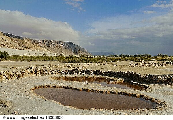 Blick auf den Lebensraum Salzbecken an der Südküste  Sokotra  Jemen  Asien