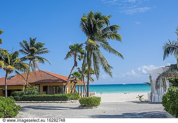 Blick auf den Strand mit einem Ferienhaus und Kokosnusspalmen in Playa del Carmen an der Ostküste der Halbinsel Yucatan am Karibischen Meer im Bundesstaat Quintana Roo  Mexiko.