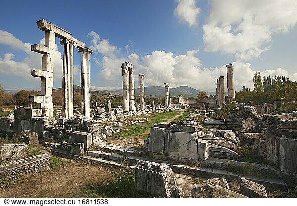 Blick auf den Tempel der Aphrodite  Aphrodisias  Geyre  Provinz Aydin  Kleinasien  Türkei  Europa.