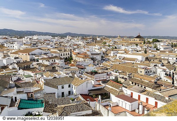 Blick auf die Altstadt  Cordoba  Andalusien  Spanien  Europa