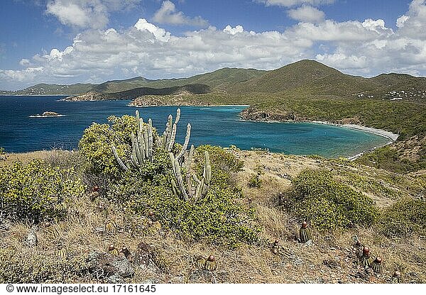 Blick auf die Küste von St. John unterhalb von Ram's Head auf den U.S. Virgin Islands.