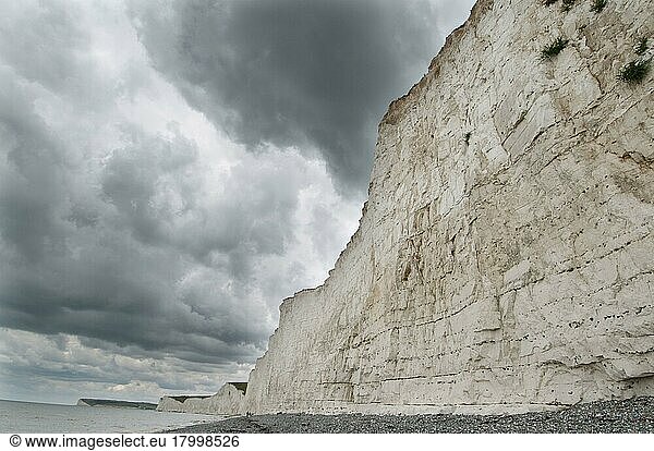 Blick auf die Kreidemeerklippe  Birling Gap  East Sussex  England  Juli