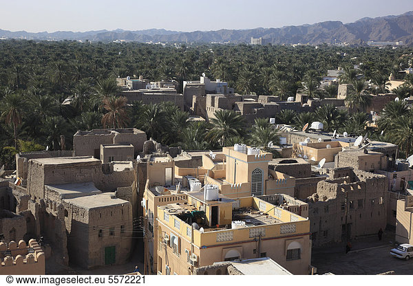 Blick auf die Oasenstadt Nizwa mit ihren Palmengärten,  Oman,  Arabische Halbinsel,  Naher Osten