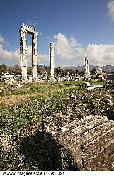 Blick auf die Säulen im Tempel der Aphrodite  Aphrodisias  Geyre  Provinz Aydin  Kleinasien  Türkei  Europa.