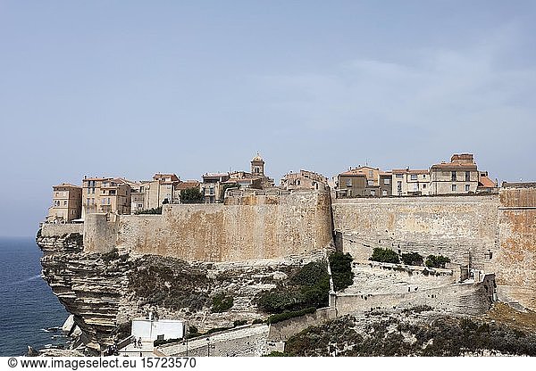 Blick auf die Stadt Bonifacio an der felsigen Küste  Korsika  Frankreich  Europa
