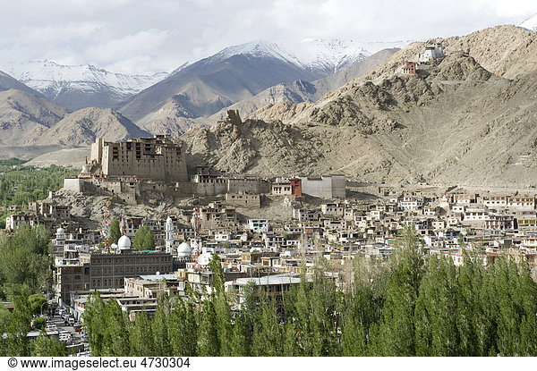 Blick auf die Stadt Leh am Berghang  alter Königspalast  Region Ladakh  Bundesstaat Jammu und Kaschmir  Kashmir  Indien  Südasien  Asien