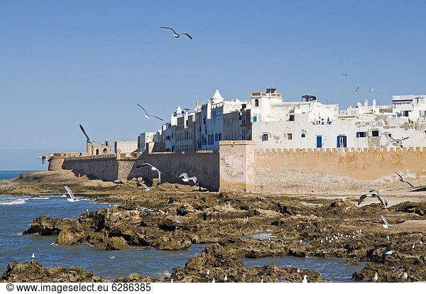 Blick auf die Stadtmauern der Altstadt  UNESCO Weltkulturerbe  Essaouira  Marokko  Nordafrika  Afrika