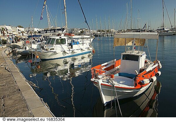 Blick auf die traditionellen Fischerboote im Hafen  Naxos  Kykladeninseln  Griechische Inseln  Griechenland  Europa.