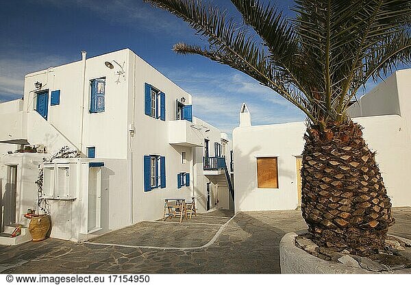 Blick auf die traditionellen  weiß getünchten Häuser im Stadtzentrum  Insel Mykonos  Kykladen  Griechische Inseln  Griechenland  Europa.