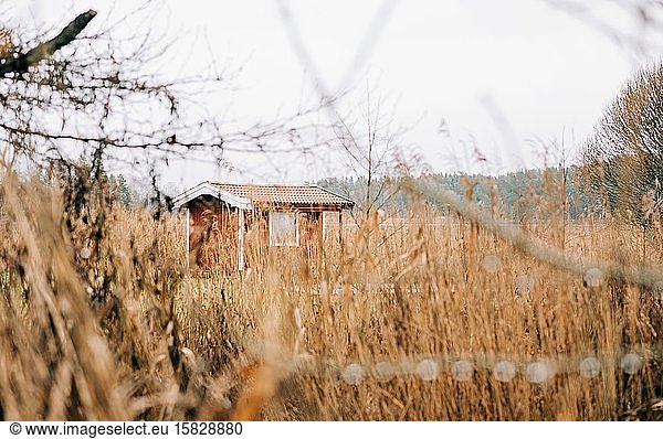 Blick auf eine traditionelle schwedische Hütte durch langes Gras in der Ostsee
