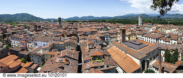 Blick auf Lucca vom Torre Guingi  Lucca  Toskana  Italien  Europa