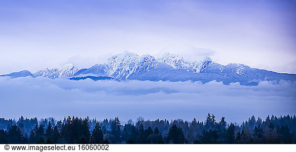Blick auf schneebedeckte Berge und niedrige Wolken über einem Wald  gesehen von Surrey  BC; Surrey  British Columbia  Kanada