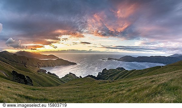 Blick auf Wiesen und felsige Küste bei Sonnenuntergang  French Pass  Marlborough-Region  Marlborough Sounds  Picton  Südinsel  Neuseeland  Ozeanien