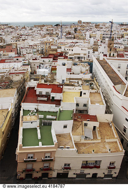 Blick über die Dächer von Cadiz  Andalusien  Spanien  Europa