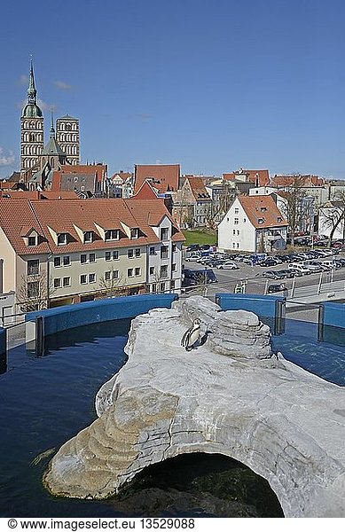 Blick über die Pinguinanlage vom Dach des Ozeaneums auf die Altstadt der Hansestadt Stralsund  UNESCO-Welterbe  Mecklenburg-Vorpommern  Deutschland  Europa  Freigabe nur für redaktionelle Zwecke  Europa