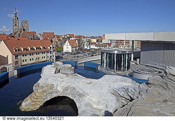 Blick über die Pinguinanlage vom Dach des Ozeaneums auf die Altstadt der Hansestadt Stralsund  UNESCO-Welterbe  Mecklenburg-Vorpommern  Deutschland  Europa  Freigabe nur für redaktionelle Zwecke  Europa