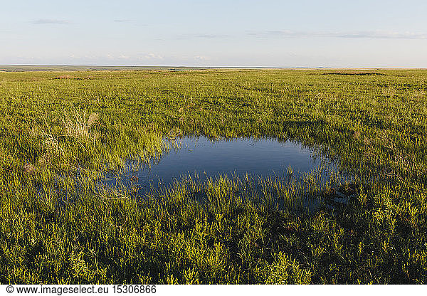 Blick über die weite offene Fläche des Tallgrass Prairie Preserve im Frühling  Grasland und ein kleiner Tautümpel.