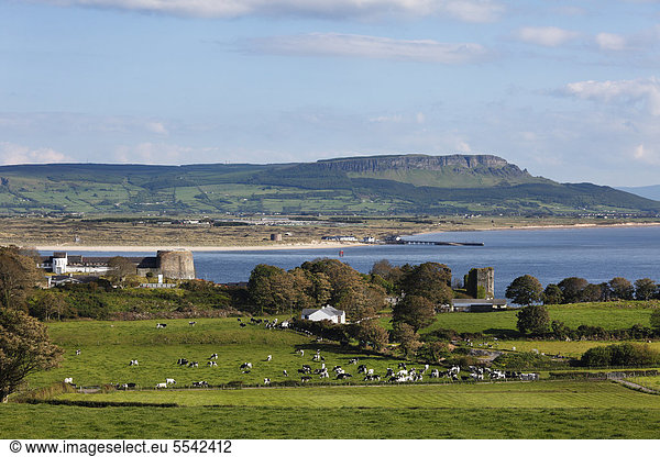 Blick über Greencastle auf Inishowen-Halbinsel  County Donegal  Irland  hinten Magilligan Point und Binevenagh-Berg in Derry  Nordirland  Britische Inseln  Europa  ÖffentlicherGrund