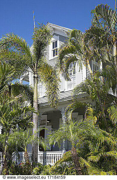 Blick durch Palmen auf die Fassade eines typischen Holzhauses  Old Town  Key West  Florida Keys  Florida  Vereinigte Staaten von Amerika  Nordamerika
