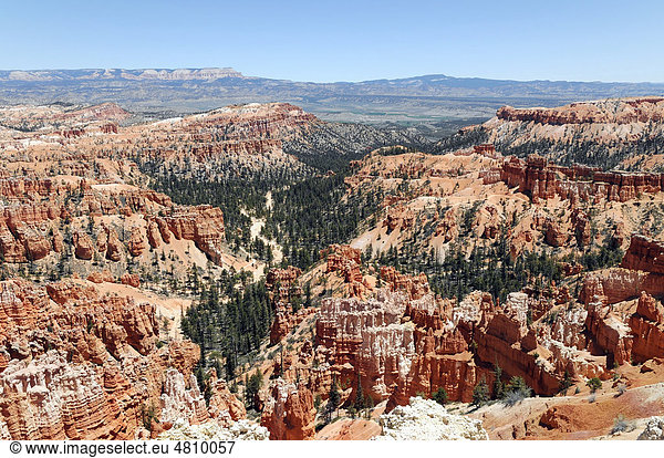 Blick in den Bryce Canyon Nationalpark Utah USA Nordamerika