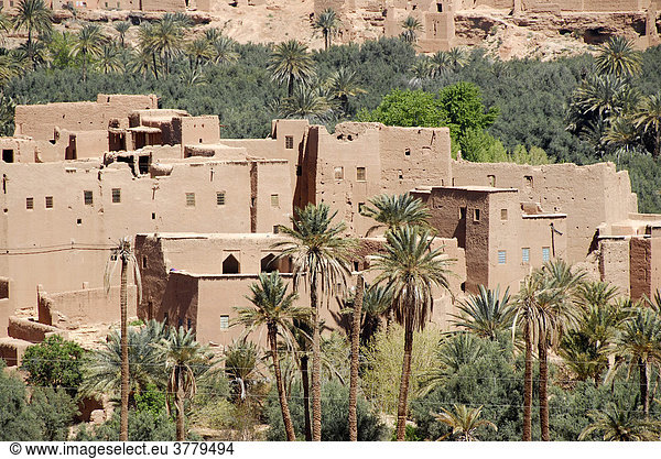 Blick in die Altstadt Ksar mit Plamen Tenerhir Marokko