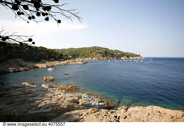 Blick in die Bucht von Tamariu  Costa Brava  Katalonien  Mittelmeer  Spanien  Europa