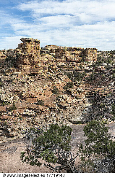 Blick in eine Schlucht mit gestapelten und fließenden Felsen und interessanter Geologie im Canyonlands National Park; Moab  Utah  Vereinigte Staaten von Amerika