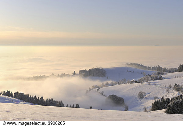 Blick vom Schauinsland in das verschneite Münstertal  Breisgau-Hochschwarzwald  Regieungsbezirk Freiburg  Baden-Württemberg  Deutschland  Europa
