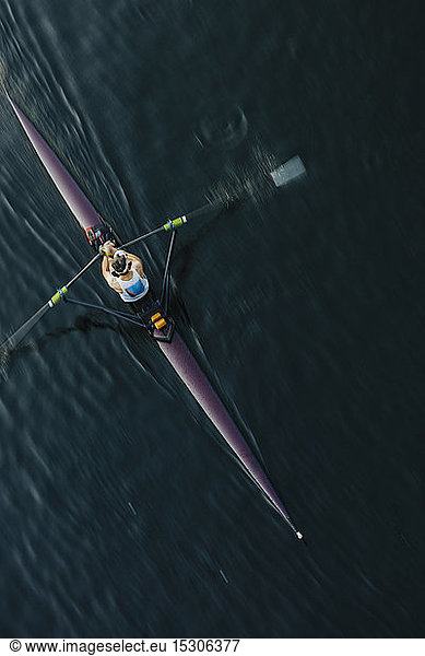 Blick von oben auf einen Single-Scull-Crew-Racer  Lake Union  Seattle  Washington  USA.