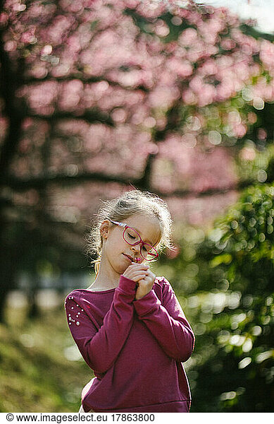 Blond haired girl child smells flower in front of sakura blossoms