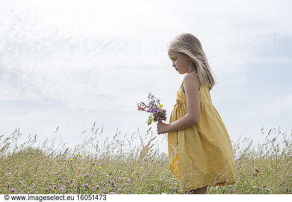 Blond little girl wearing yellow dress standing on a meadow with bouquet of picked field flowers