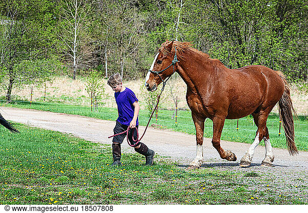 Blond tween boy leading his brown horse in the country.