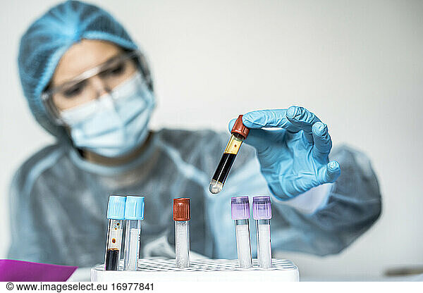 Blood test tube with label of Covid-19 also known as coronavirus or novel corona in scientist hand in laboratory. Female scientist is wearing highly protective suit  gloves  mask and glasses.