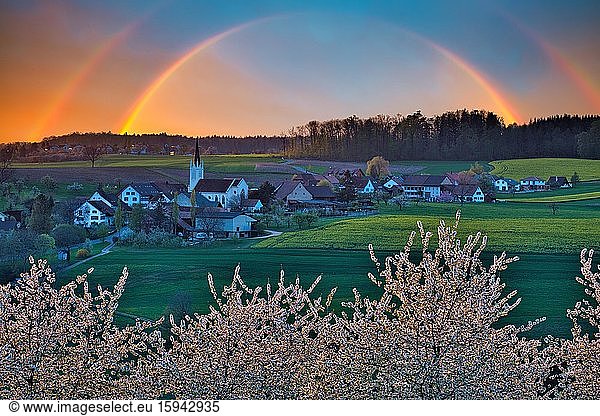 Blossoming cherry trees  evening mood with rainbow  village view Kilchberg  canton Basel-Landschaft  Switzerland  Europe