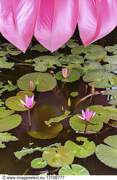 Thailand Un Total De Photos Seite 32 A Imageselect Banque De Photos Et Images De Microstock