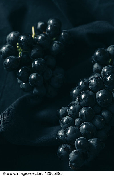 Blue grapes on dark fabric