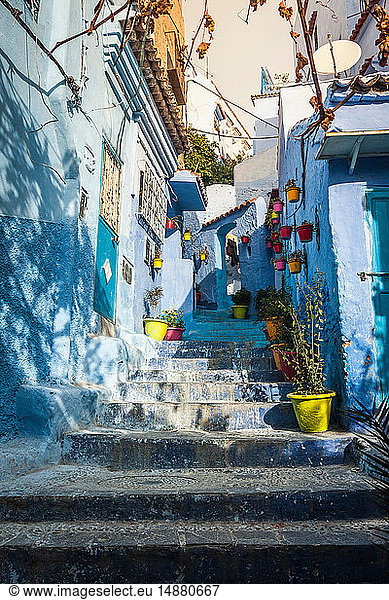 Blue painted house exteriors on stairway  Chefchaouen  Morocco