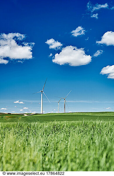 Blue Skies  A Green Field  And Windmills