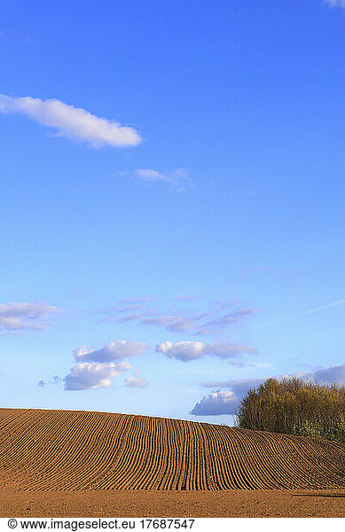 Blue sky over plowed field
