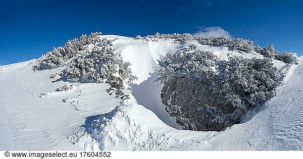 Blue sky over winter landscape  high plateau at Lawinenstein  Tauplitzalm  Styria  Austria  Europe