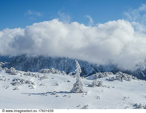 Blue sky over winter landscape  peak of Grimming in clouds  view from Lawinenstein  Tauplitzalm  Styria  Austria  Europe